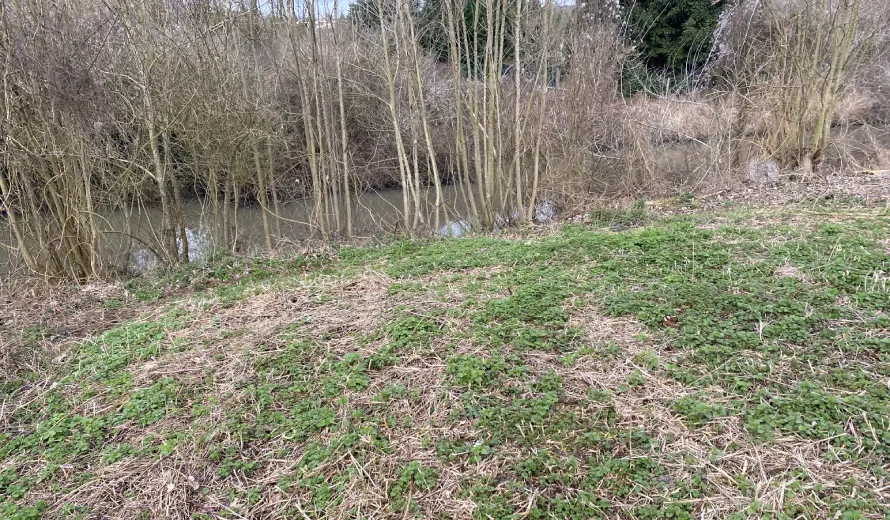 étude Terrain Zone Humide Greenaffair
